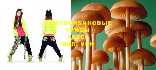 винт Баксан