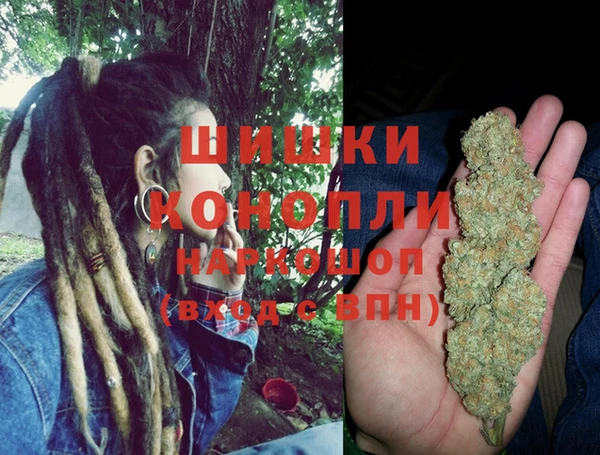 сатива Балахна