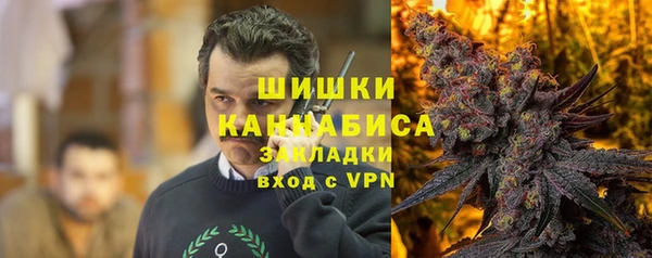 сатива Балахна