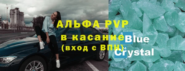 сатива Балахна