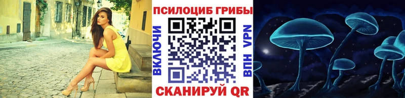 Псилоцибиновые грибы Psilocybe  Верхний Тагил 